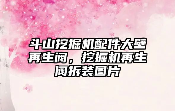 斗山挖掘機配件大壁再生閥，挖掘機再生閥拆裝圖片