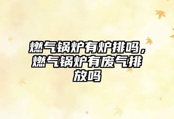 燃?xì)忮仩t有爐排嗎，燃?xì)忮仩t有廢氣排放嗎