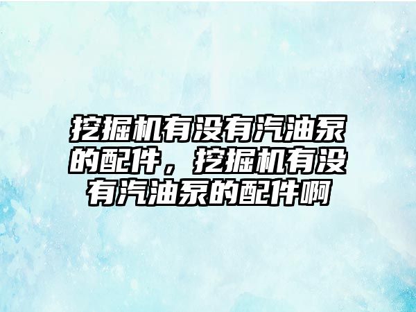 挖掘機(jī)有沒有汽油泵的配件，挖掘機(jī)有沒有汽油泵的配件啊