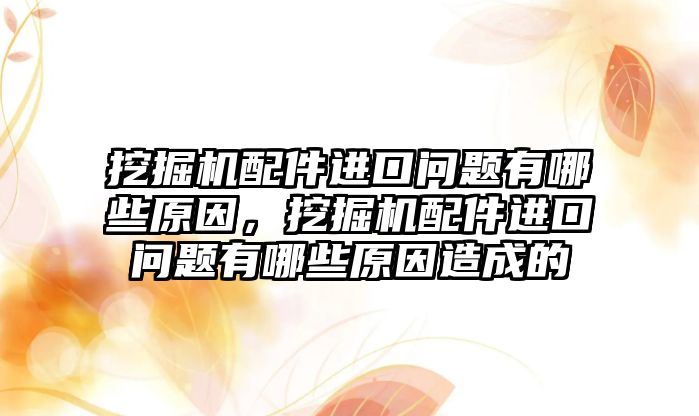 挖掘機配件進口問題有哪些原因，挖掘機配件進口問題有哪些原因造成的