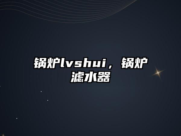 鍋爐lvshui，鍋爐濾水器