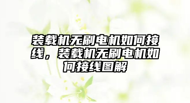 裝載機無刷電機如何接線，裝載機無刷電機如何接線圖解