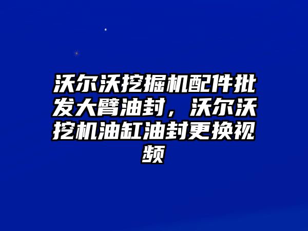 沃爾沃挖掘機配件批發(fā)大臂油封，沃爾沃挖機油缸油封更換視頻