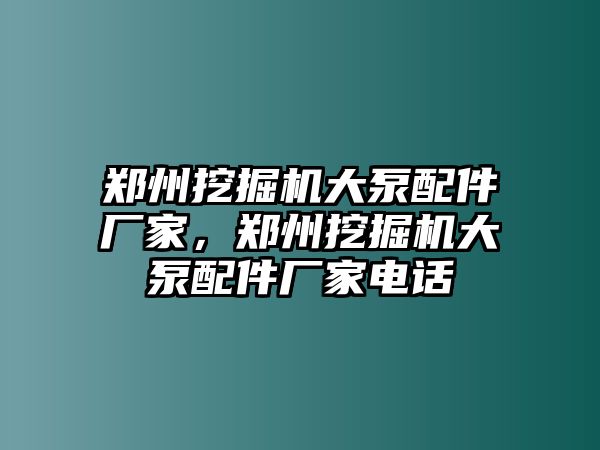 鄭州挖掘機大泵配件廠家，鄭州挖掘機大泵配件廠家電話