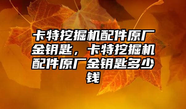 卡特挖掘機配件原廠金鑰匙，卡特挖掘機配件原廠金鑰匙多少錢