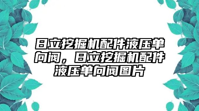 日立挖掘機(jī)配件液壓單向閥，日立挖掘機(jī)配件液壓單向閥圖片