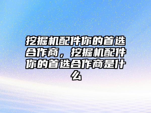 挖掘機(jī)配件你的首選合作商，挖掘機(jī)配件你的首選合作商是什么