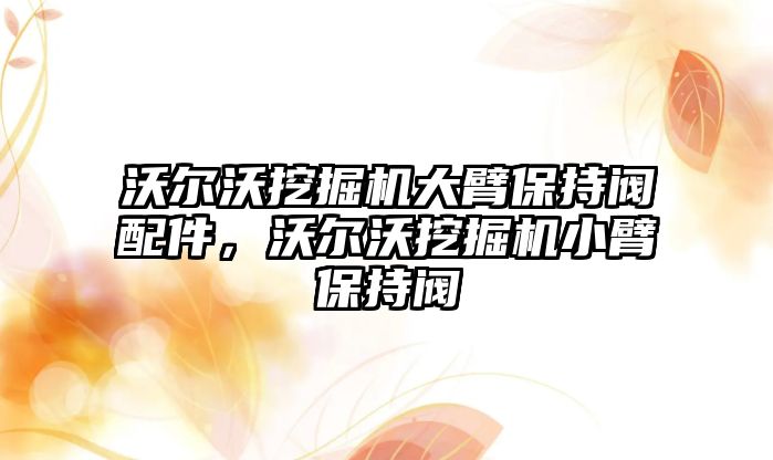 沃爾沃挖掘機大臂保持閥配件，沃爾沃挖掘機小臂保持閥