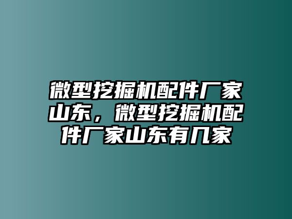 微型挖掘機(jī)配件廠家山東，微型挖掘機(jī)配件廠家山東有幾家