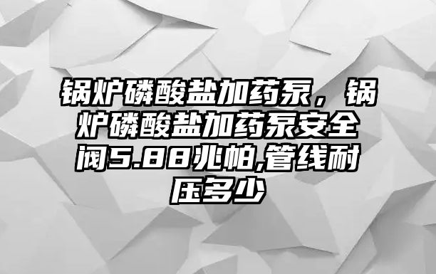 鍋爐磷酸鹽加藥泵，鍋爐磷酸鹽加藥泵安全閥5.88兆帕,管線耐壓多少