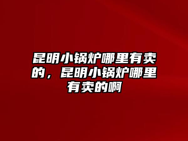 昆明小鍋爐哪里有賣的，昆明小鍋爐哪里有賣的啊