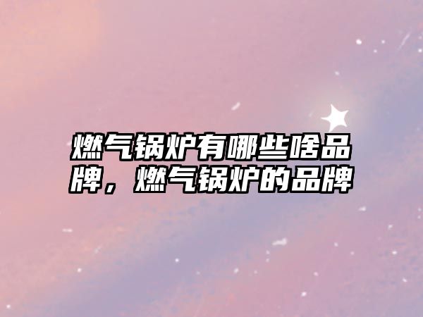 燃?xì)忮仩t有哪些啥品牌，燃?xì)忮仩t的品牌