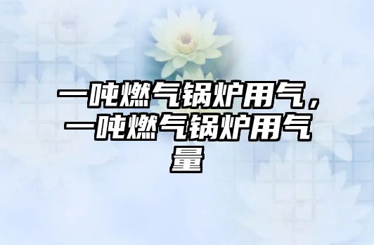 一噸燃?xì)忮仩t用氣，一噸燃?xì)忮仩t用氣量