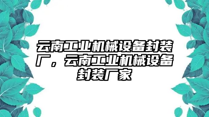 云南工業(yè)機(jī)械設(shè)備封裝廠，云南工業(yè)機(jī)械設(shè)備封裝廠家