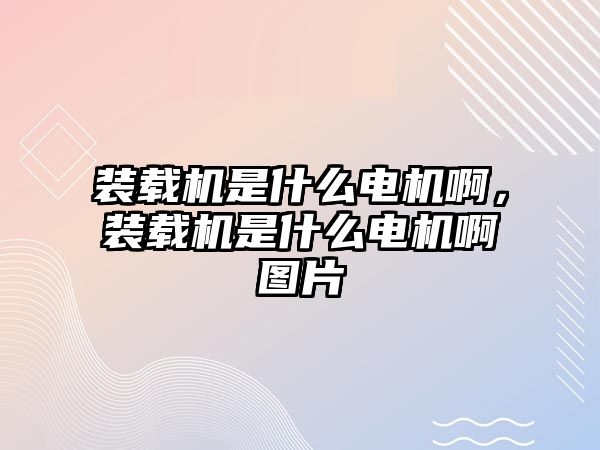 裝載機是什么電機啊，裝載機是什么電機啊圖片