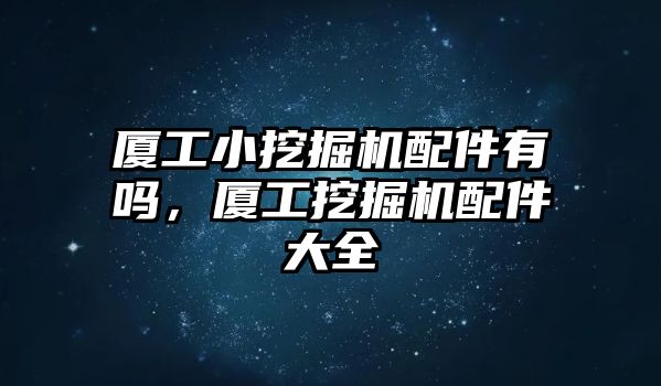 廈工小挖掘機配件有嗎，廈工挖掘機配件大全