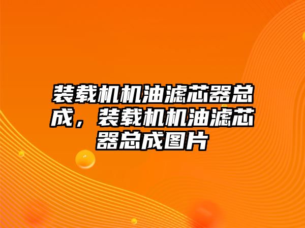 裝載機機油濾芯器總成，裝載機機油濾芯器總成圖片