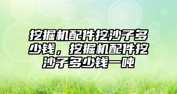 挖掘機配件挖沙子多少錢，挖掘機配件挖沙子多少錢一噸