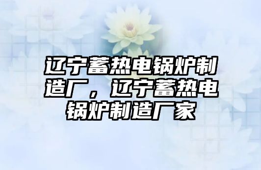 遼寧蓄熱電鍋爐制造廠，遼寧蓄熱電鍋爐制造廠家