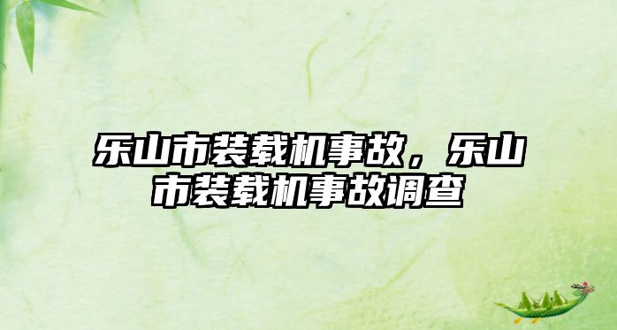 樂山市裝載機事故，樂山市裝載機事故調(diào)查