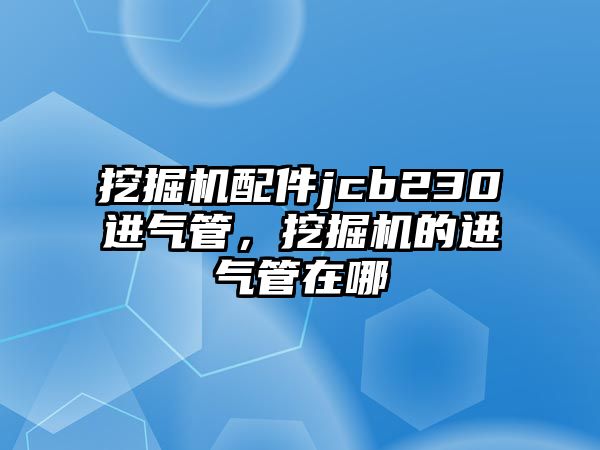 挖掘機配件jcb230進氣管，挖掘機的進氣管在哪