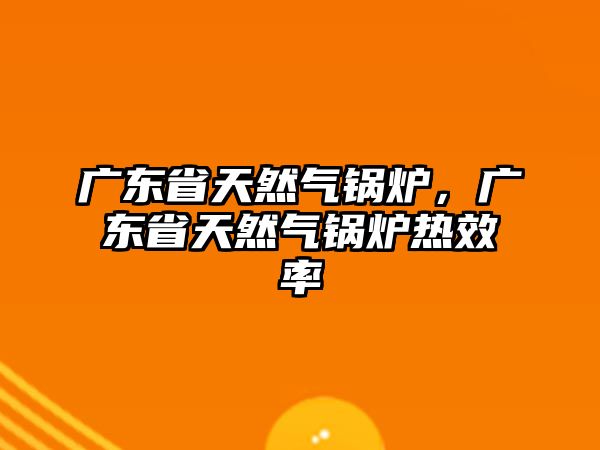 廣東省天然氣鍋爐，廣東省天然氣鍋爐熱效率