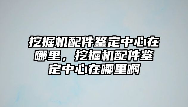 挖掘機配件鑒定中心在哪里，挖掘機配件鑒定中心在哪里啊