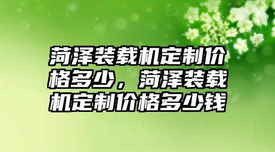 菏澤裝載機定制價格多少，菏澤裝載機定制價格多少錢