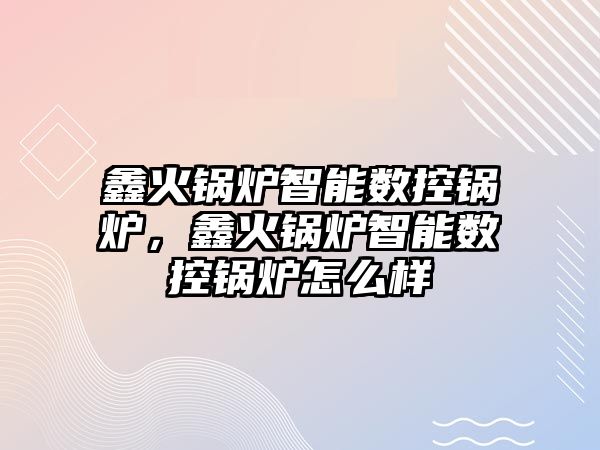 鑫火鍋爐智能數(shù)控鍋爐，鑫火鍋爐智能數(shù)控鍋爐怎么樣