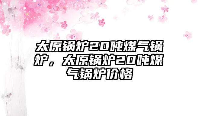 太原鍋爐20噸煤氣鍋爐，太原鍋爐20噸煤氣鍋爐價格