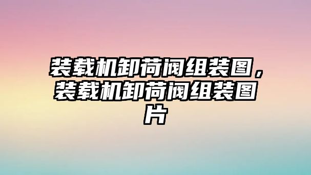 裝載機卸荷閥組裝圖，裝載機卸荷閥組裝圖片