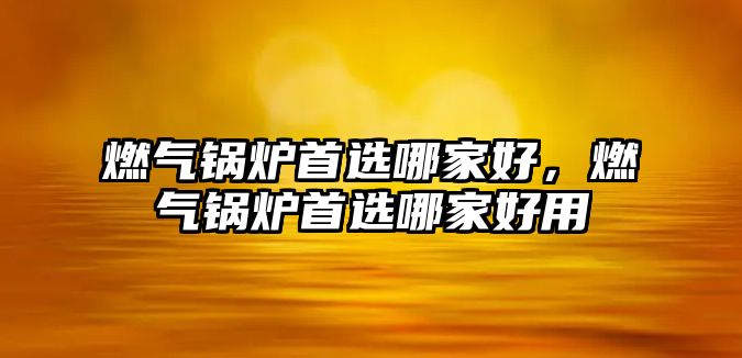 燃?xì)忮仩t首選哪家好，燃?xì)忮仩t首選哪家好用