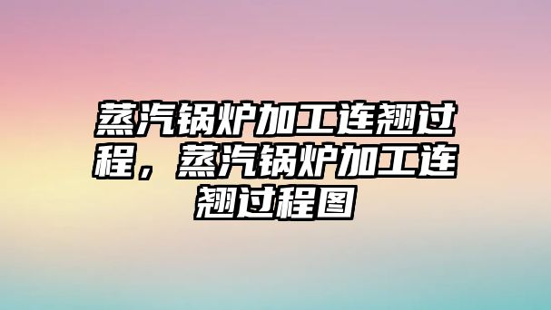 蒸汽鍋爐加工連翹過程，蒸汽鍋爐加工連翹過程圖