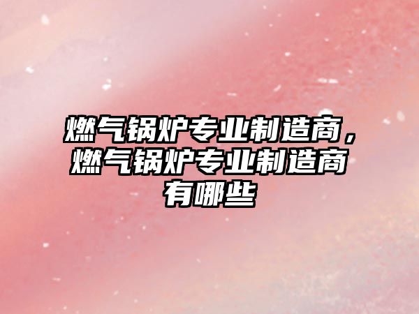 燃氣鍋爐專業(yè)制造商，燃氣鍋爐專業(yè)制造商有哪些