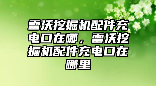 雷沃挖掘機(jī)配件充電口在哪，雷沃挖掘機(jī)配件充電口在哪里