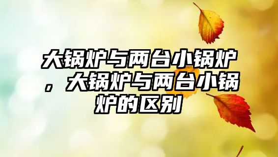 大鍋爐與兩臺小鍋爐，大鍋爐與兩臺小鍋爐的區(qū)別