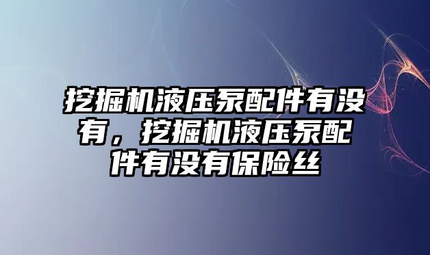 挖掘機液壓泵配件有沒有，挖掘機液壓泵配件有沒有保險絲