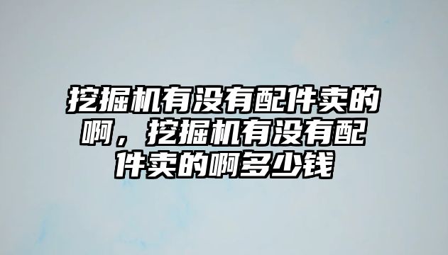 挖掘機有沒有配件賣的啊，挖掘機有沒有配件賣的啊多少錢