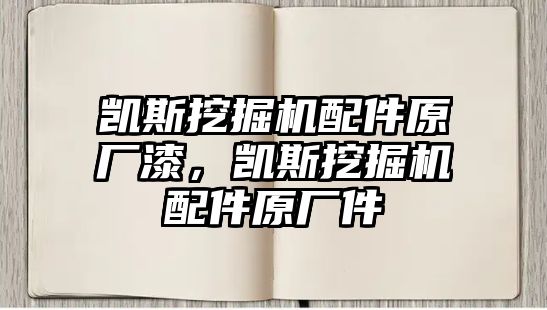 凱斯挖掘機配件原廠漆，凱斯挖掘機配件原廠件