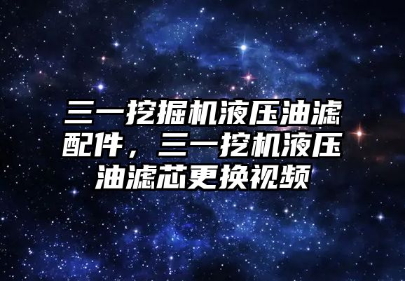 三一挖掘機(jī)液壓油濾配件，三一挖機(jī)液壓油濾芯更換視頻