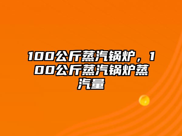 100公斤蒸汽鍋爐，100公斤蒸汽鍋爐蒸汽量