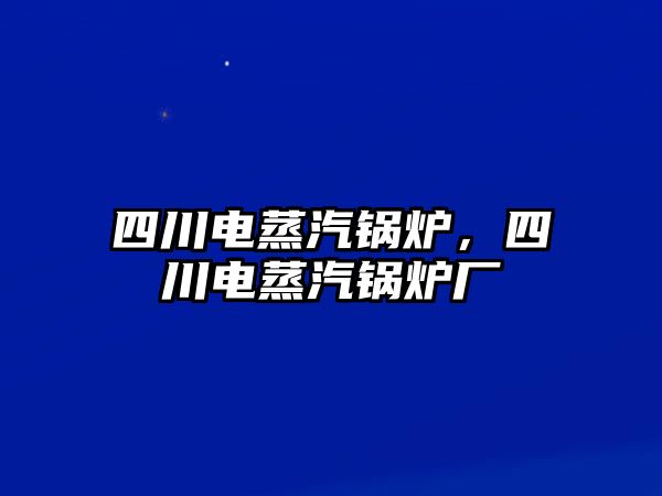 四川電蒸汽鍋爐，四川電蒸汽鍋爐廠