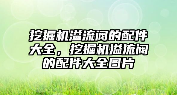 挖掘機溢流閥的配件大全，挖掘機溢流閥的配件大全圖片