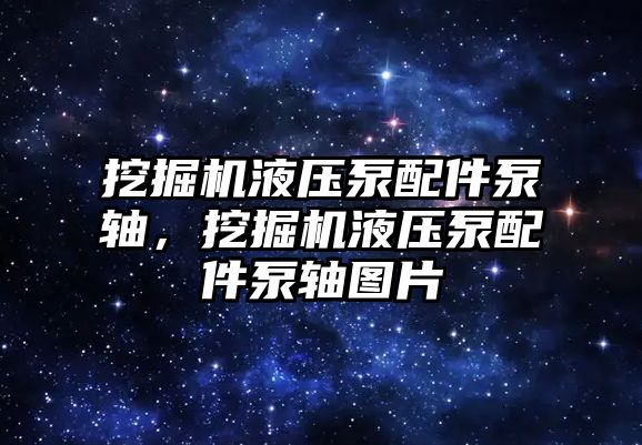 挖掘機液壓泵配件泵軸，挖掘機液壓泵配件泵軸圖片