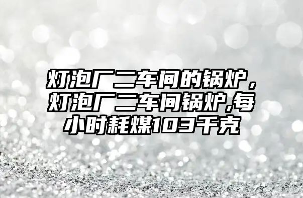 燈泡廠二車間的鍋爐，燈泡廠二車間鍋爐,每小時耗煤103千克