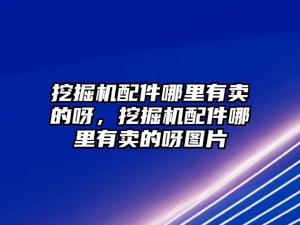 挖掘機(jī)配件哪里有賣的呀，挖掘機(jī)配件哪里有賣的呀圖片