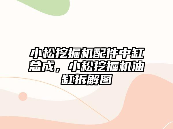 小松挖掘機配件中缸總成，小松挖掘機油缸拆解圖