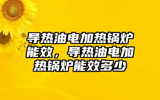 導(dǎo)熱油電加熱鍋爐能效，導(dǎo)熱油電加熱鍋爐能效多少