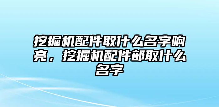 挖掘機配件取什么名字響亮，挖掘機配件部取什么名字