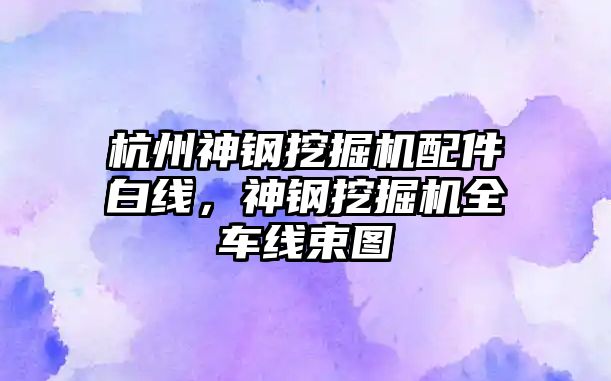 杭州神鋼挖掘機配件白線，神鋼挖掘機全車線束圖